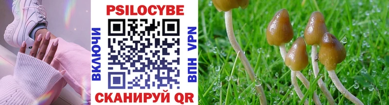 где купить наркотик Богучар дарк нет какой сайт Псилоцибиновые грибы ЛСД